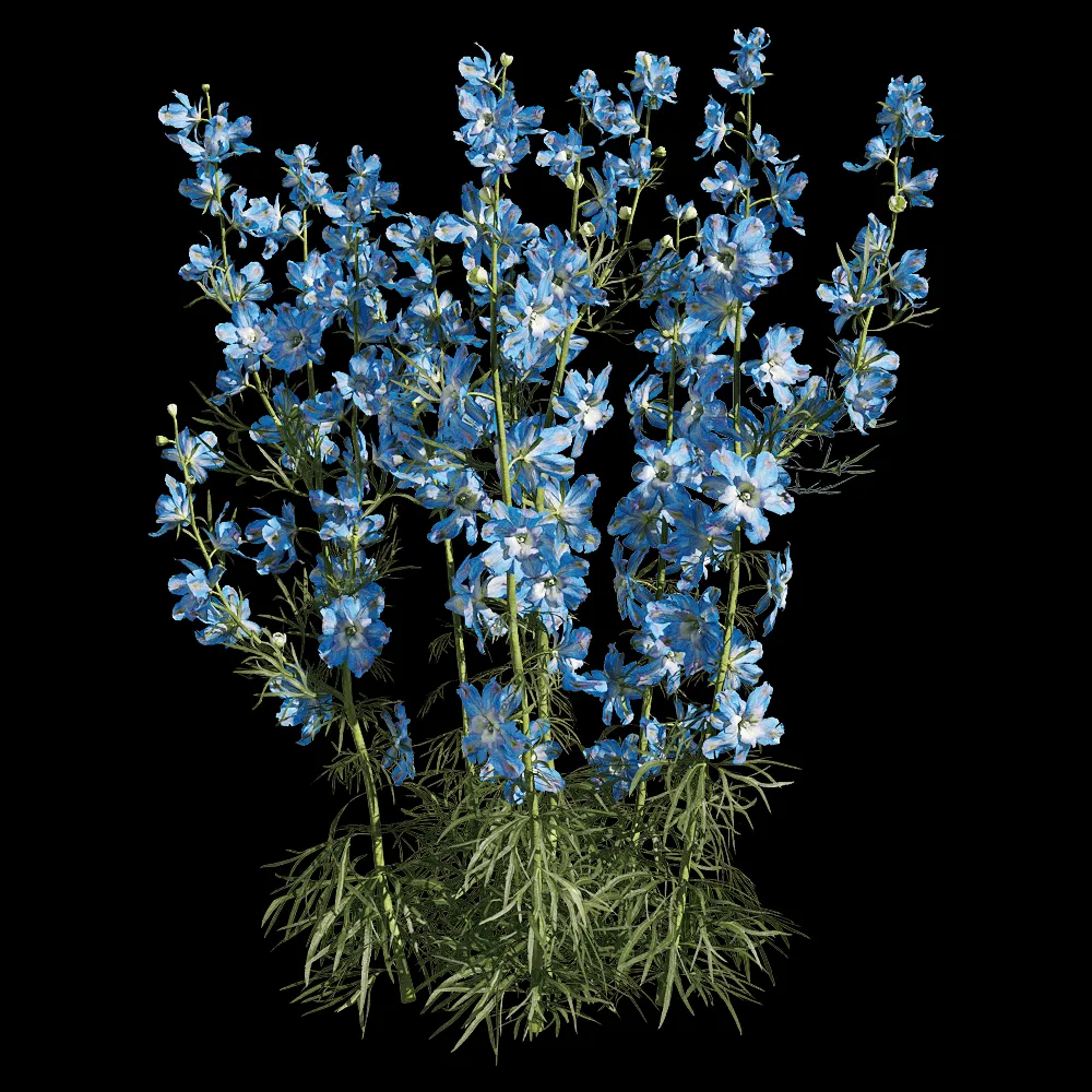 decoration – Consolida ajacis 5 3ds Max