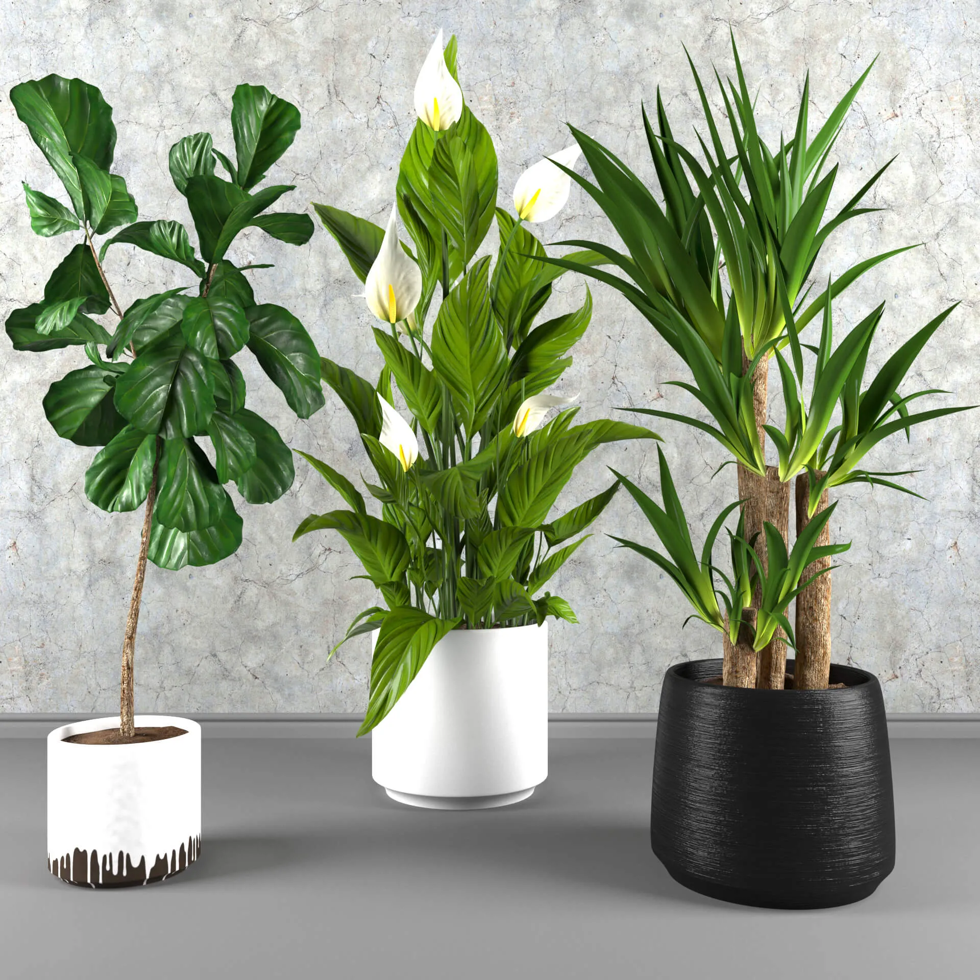 decoration – Contemporary houseplant set 3 3ds Max