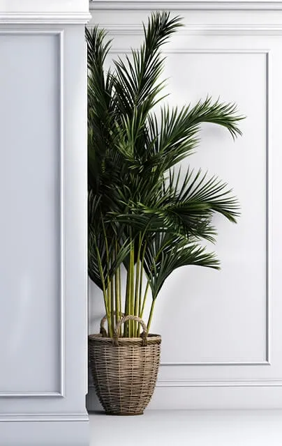 decoration – Corner palma 3ds Max