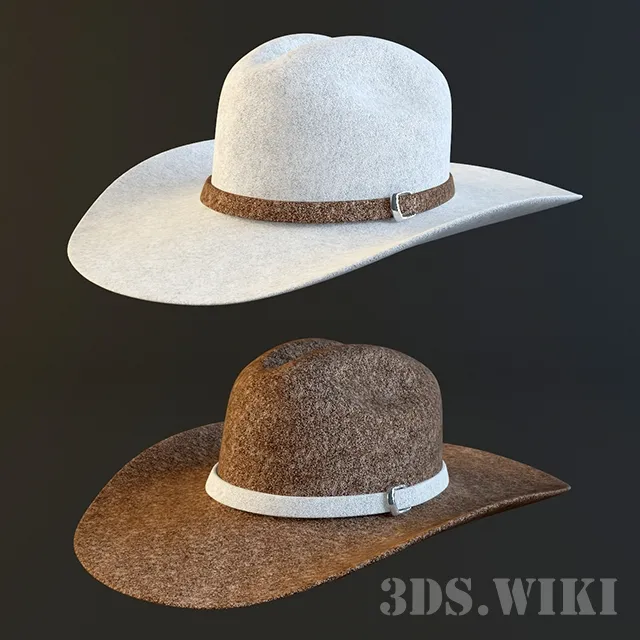 decoration – Cowboy hat 3ds Max
