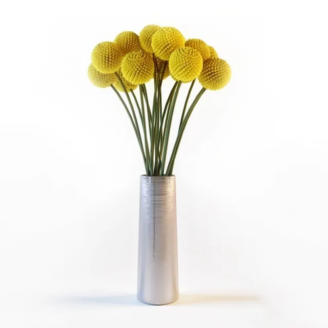 decoration – Craspedia 3ds Max