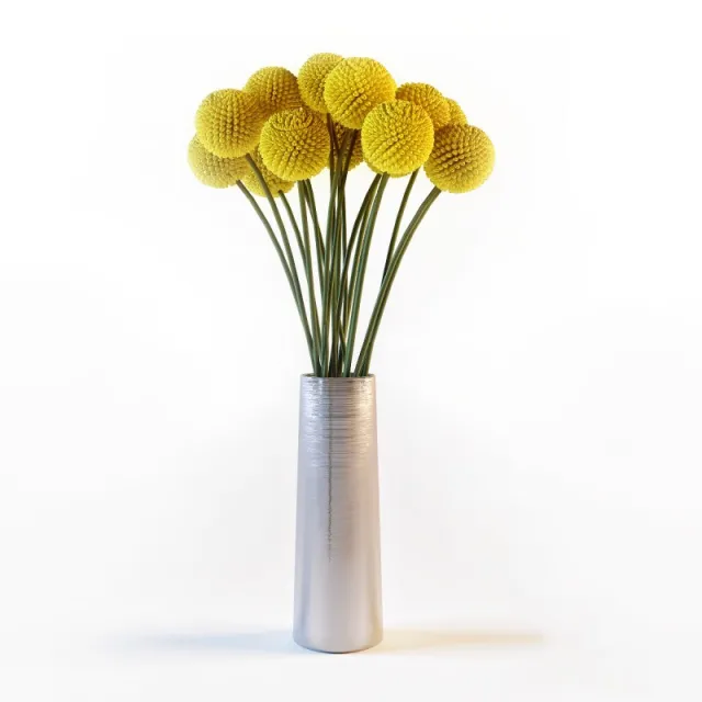 decoration – Craspedia flowers in a vase 3 3ds Max