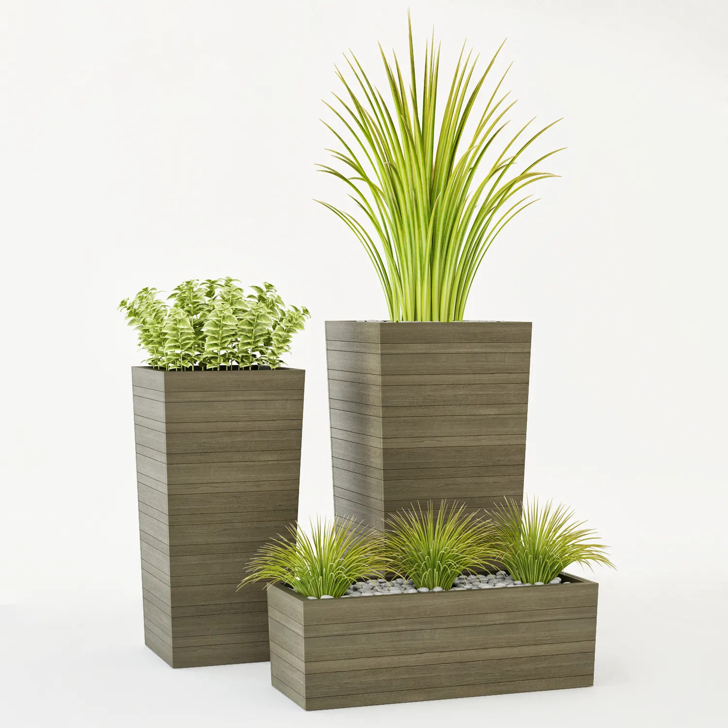 decoration – Crate & Barrel plants 3ds Max