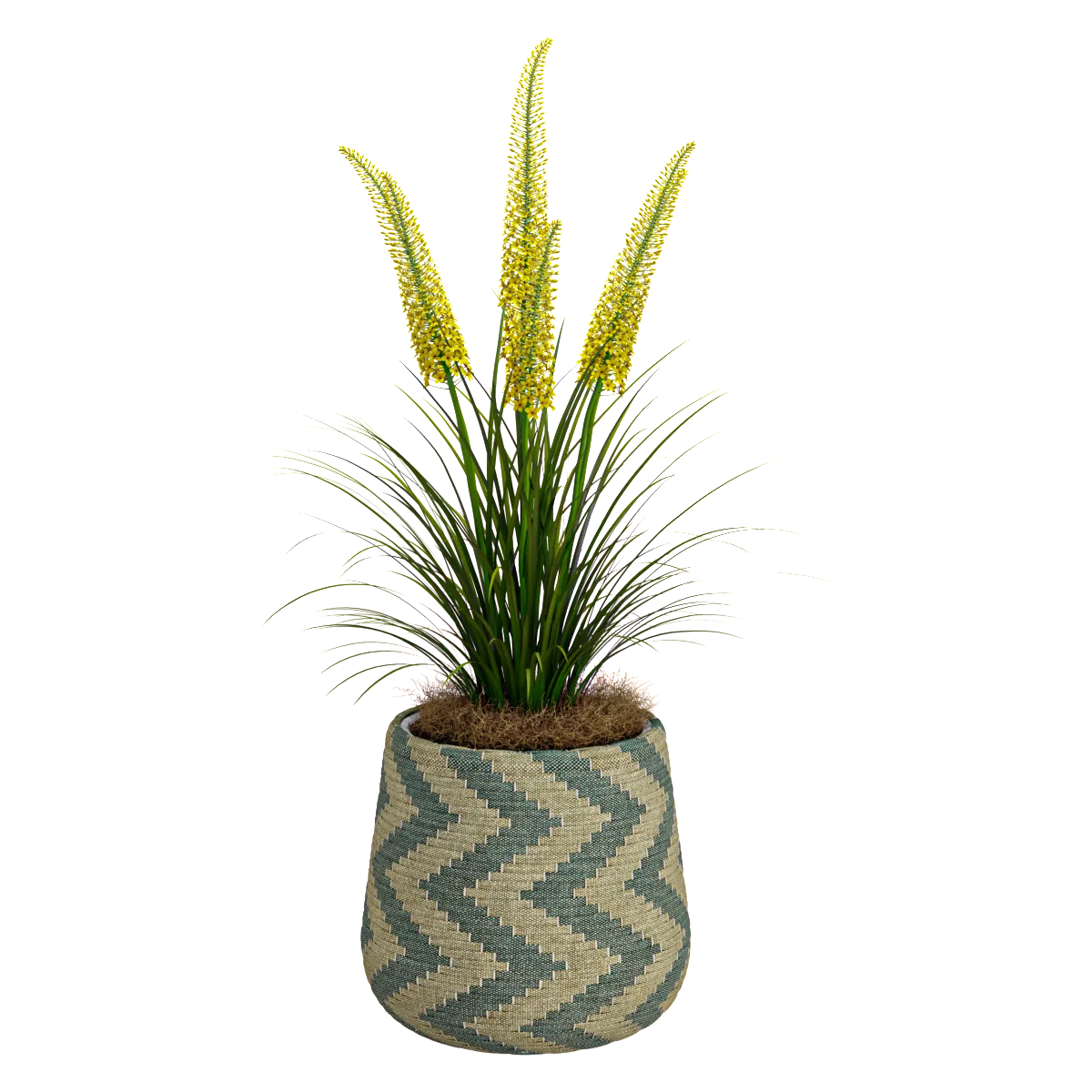 decoration – Creative plant 03 3ds Max