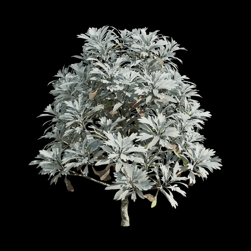 decoration – Crossostephium chinense 1 3ds Max