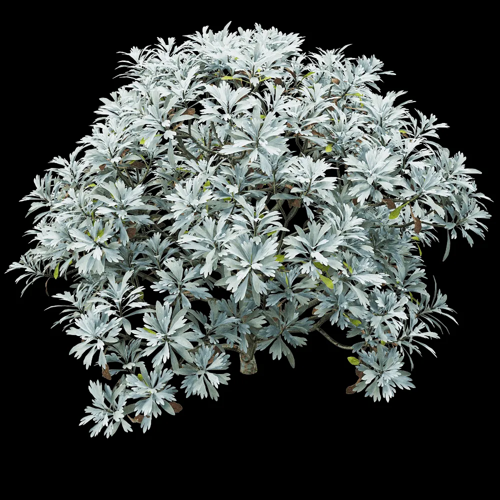 decoration – Crossostephium chinense 2 3ds Max