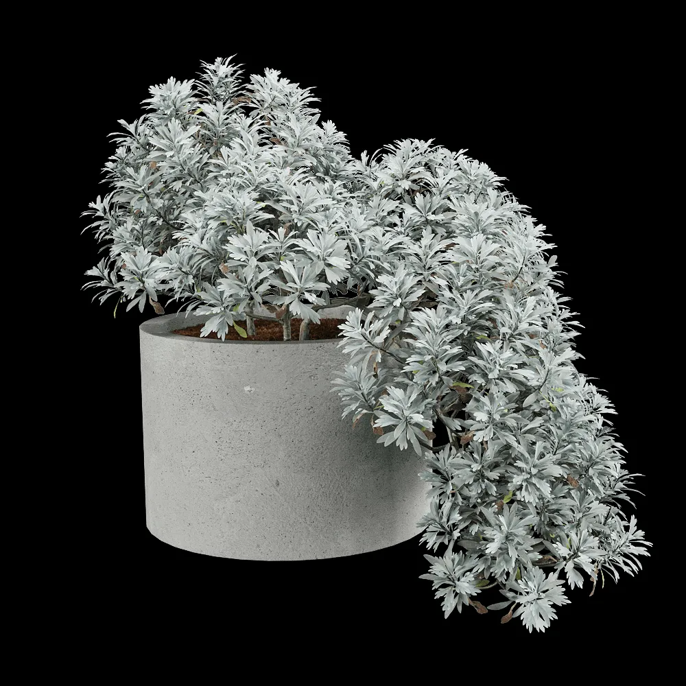 decoration – Crossostephium chinense 3 3ds Max