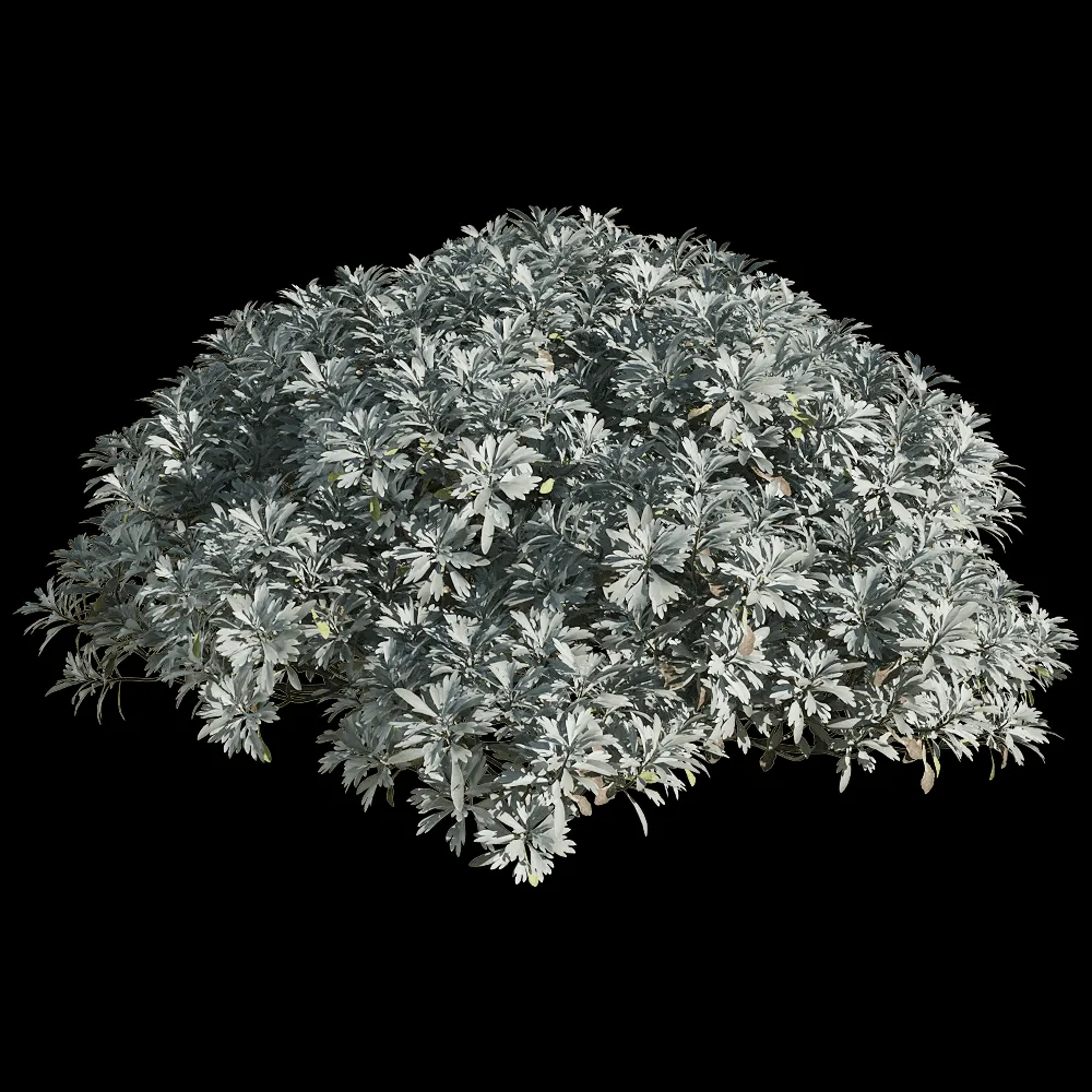 decoration – Crossostephium chinense 5 3ds Max