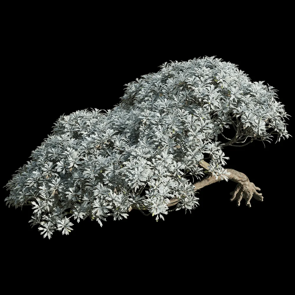 decoration – Crossostephium chinense 6 3ds Max