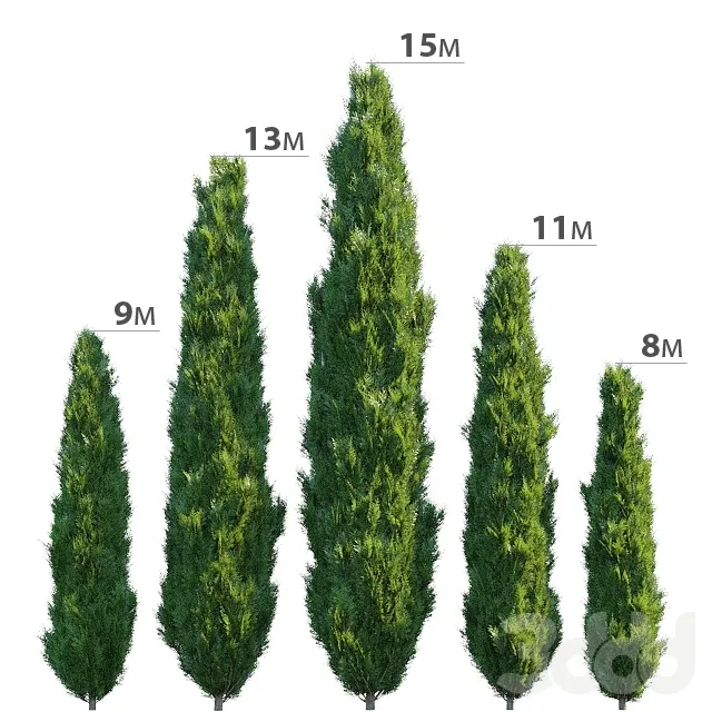 decoration – Cypress 3ds Max