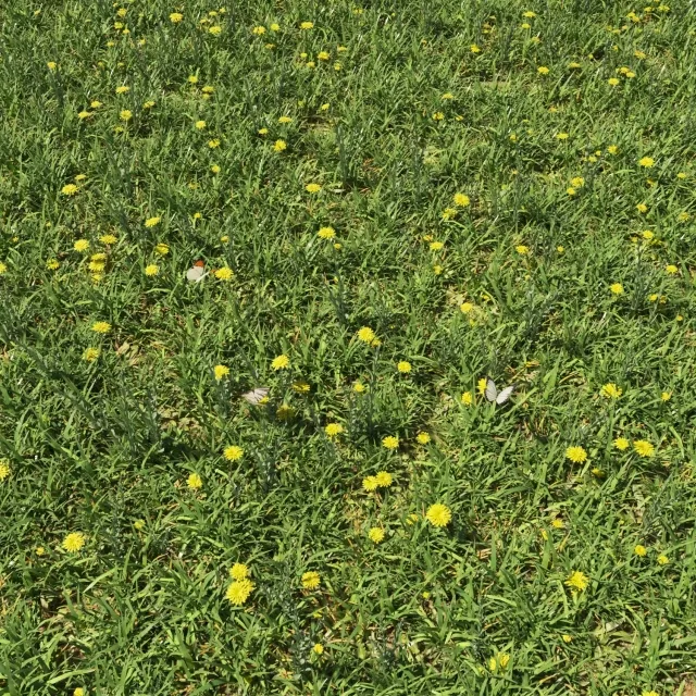 decoration – Декоративный зеленый набор 3ds Max