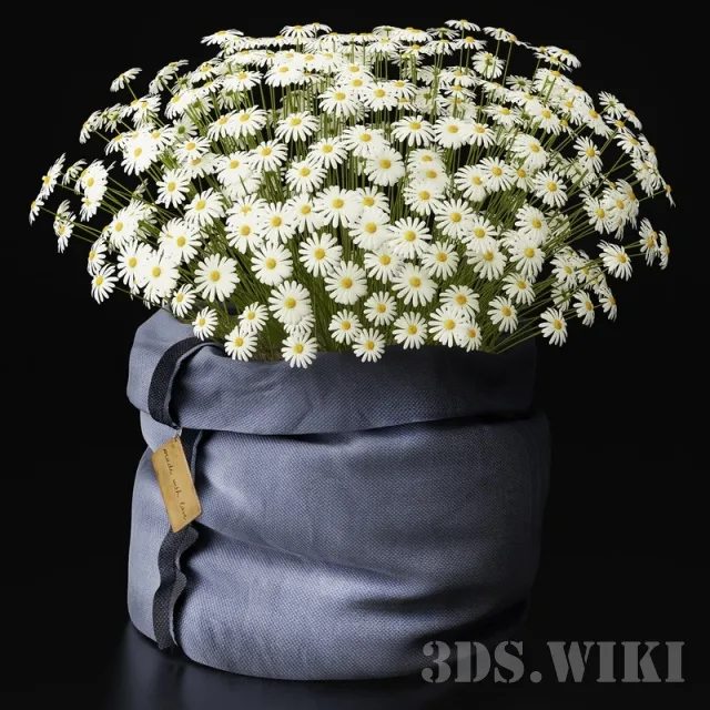 decoration – Сhamomiles with love 3ds Max