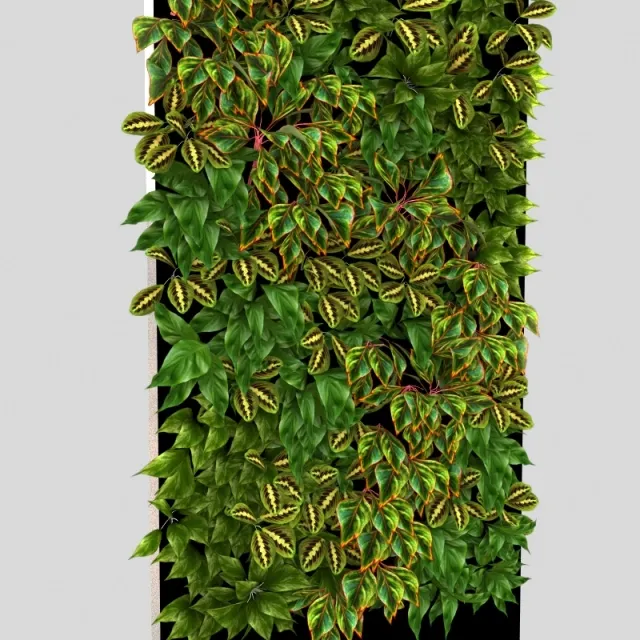 decoration – фитостена 3ds Max