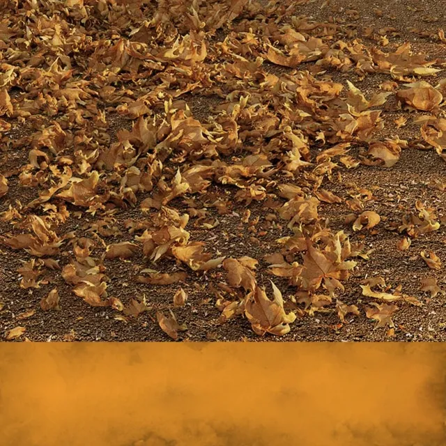 decoration – Dead Leaves 3ds Max