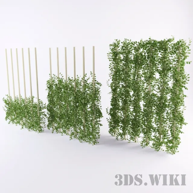 decoration – Decorative beautiful ivy 3ds Max
