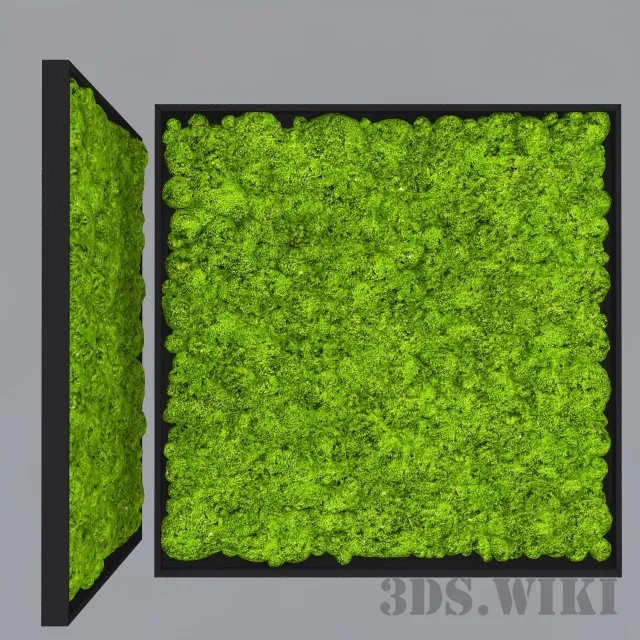 decoration – Decorative moss for interior 3ds Max