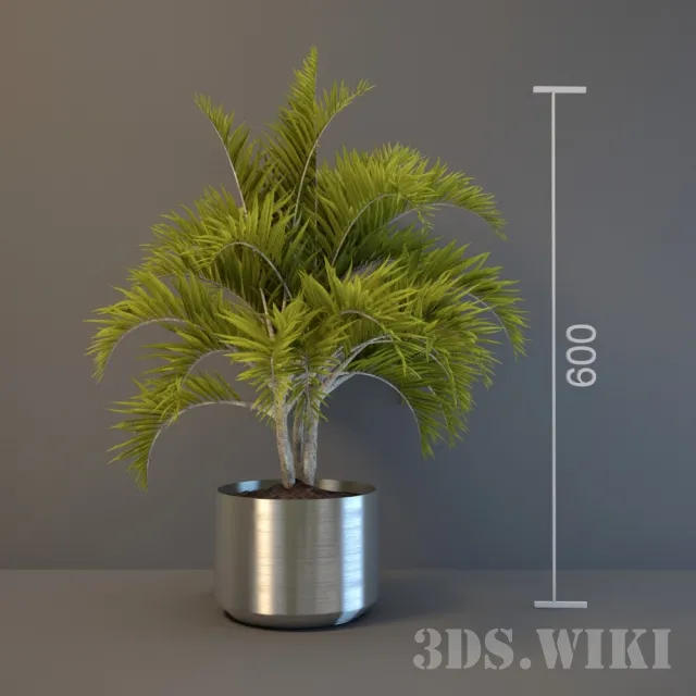 decoration – Decorative palm tree for interior 3ds Max