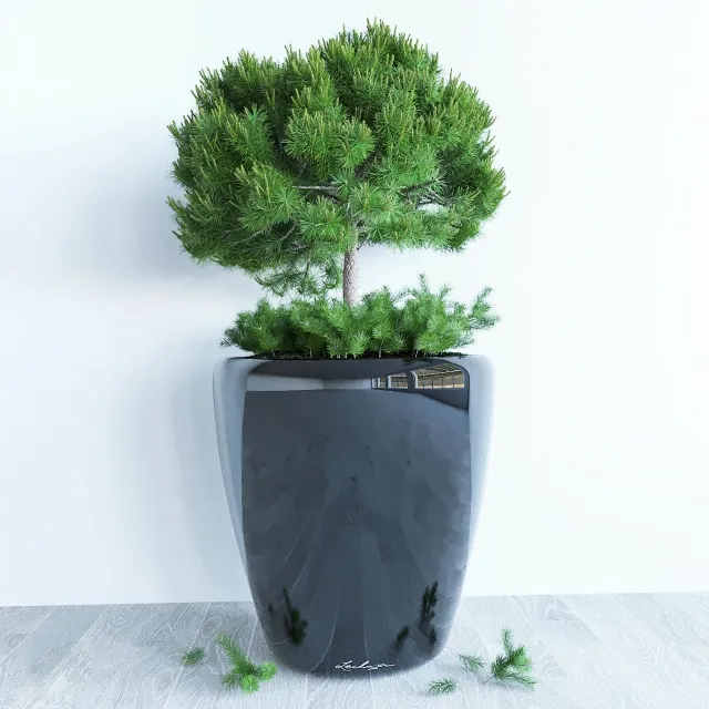 decoration – Decorative  pine 3ds Max