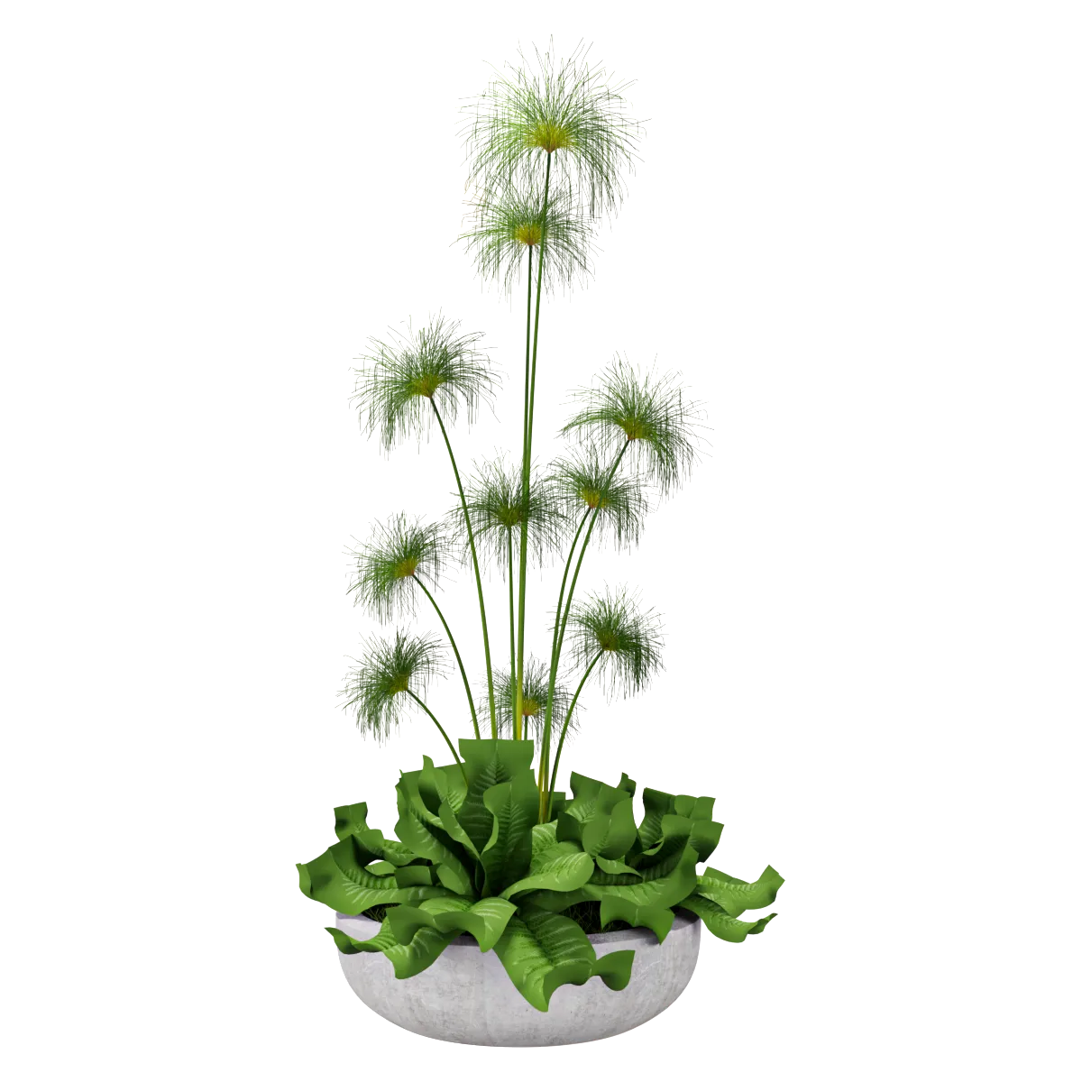 decoration – Decorative plant 02 3ds Max