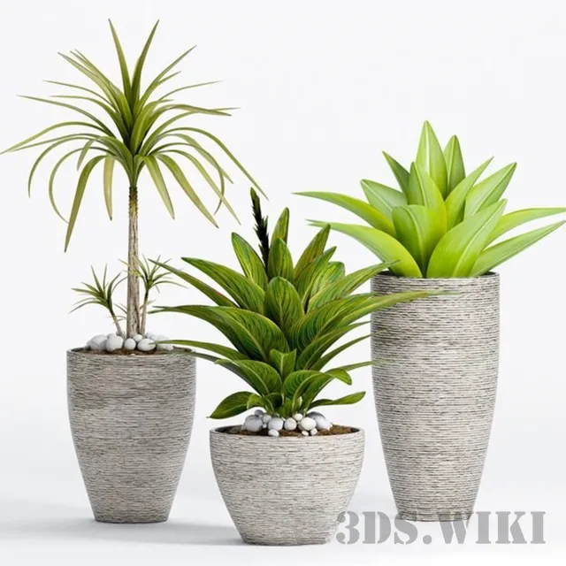 decoration – Decorative plants in pots 3ds Max