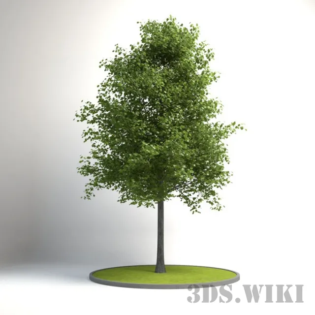 decoration – Decorative tree for the exterior 3ds Max
