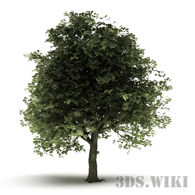 decoration – Decorative tree for the yard 3ds Max