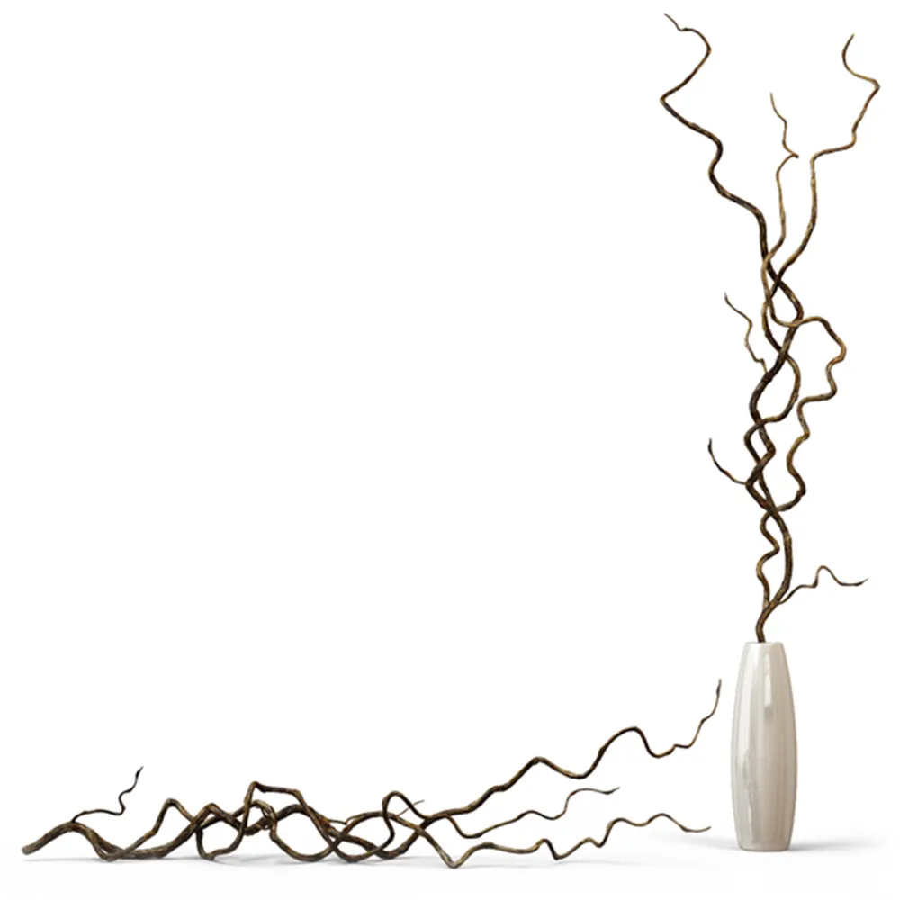decoration – Decorative vine branches 3ds Max