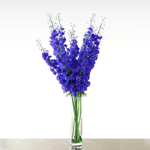 decoration – Delphinium  Blue 3ds Max