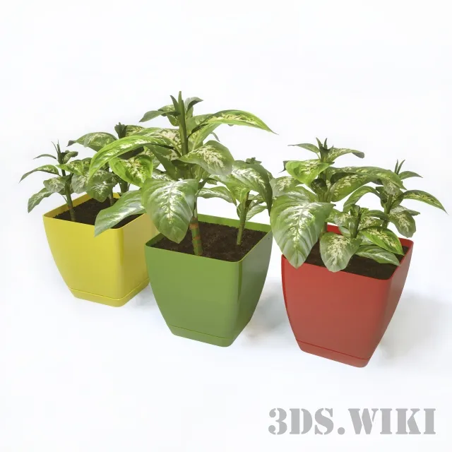 decoration – Dieffenbachia plants 3ds Max