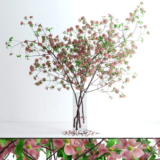 decoration – Dogwood Pink Blossom 3ds Max