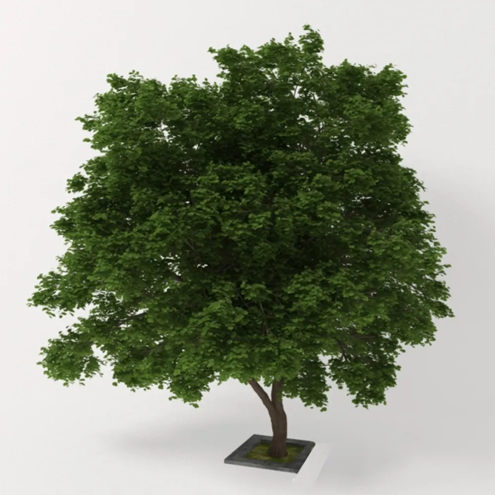 decoration – Double stem tree 3ds Max
