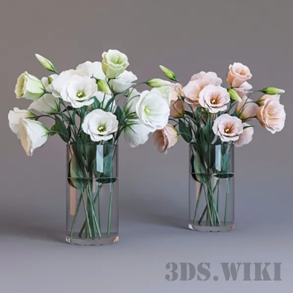 decoration – Eustoma 3ds Max