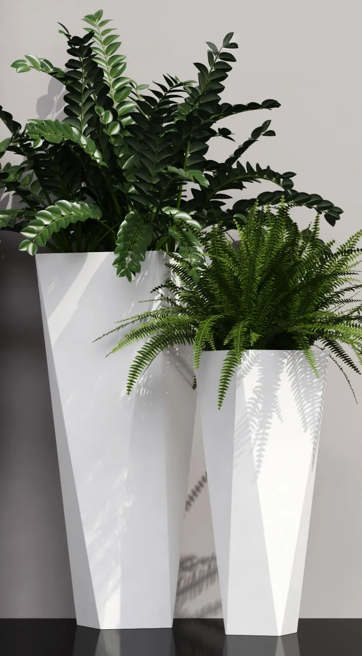 decoration – Ferns in pots 3ds Max