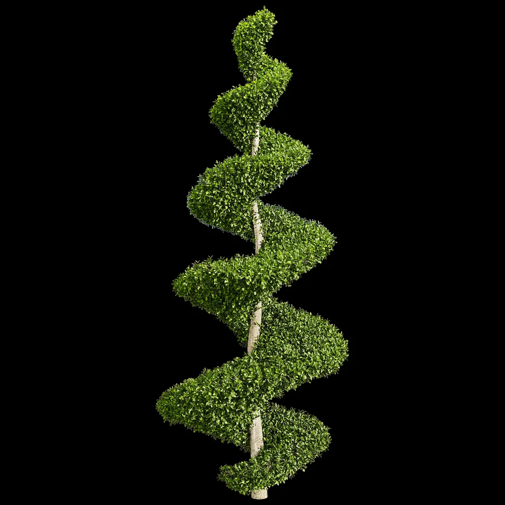 decoration – Ficus concinna 6 3ds Max