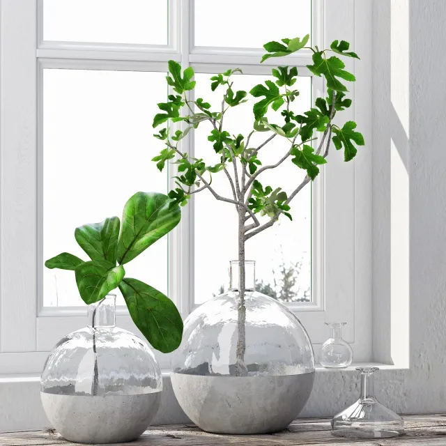 decoration – Fig Plants 3ds Max