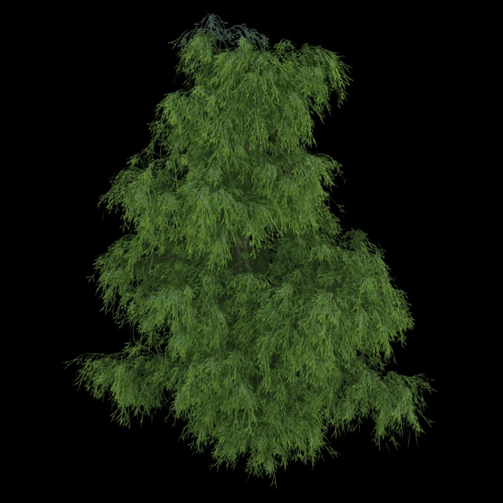 decoration – Filifera Aureai 01 03 3ds Max