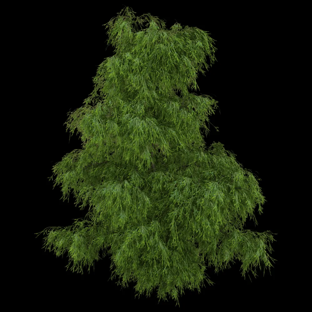 decoration – Filifera Aureai 01 04 3ds Max