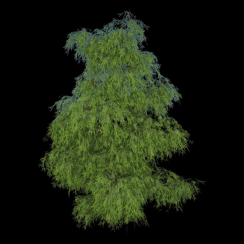 decoration – Filifera Aureai 01 06 3ds Max