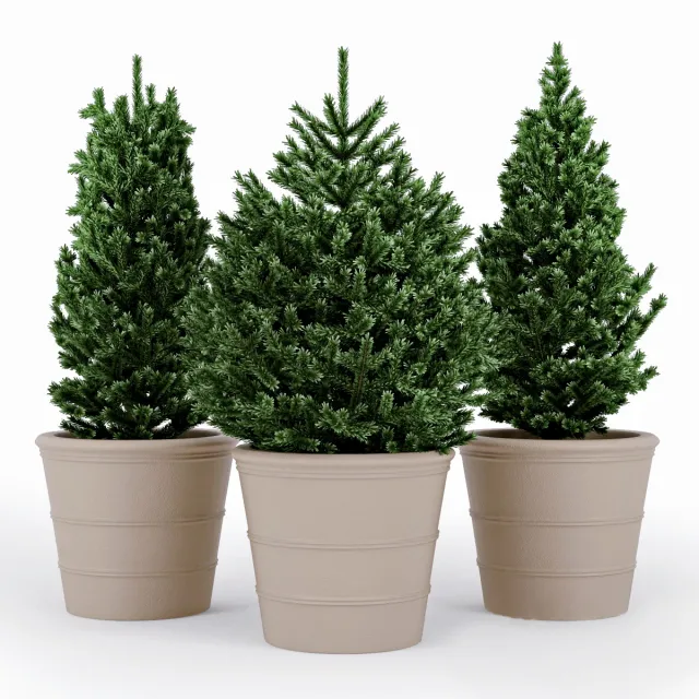 decoration – Fir tree 13 3ds Max