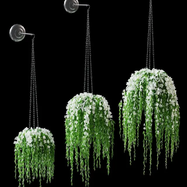 decoration – Flowers in pots 3ds Max