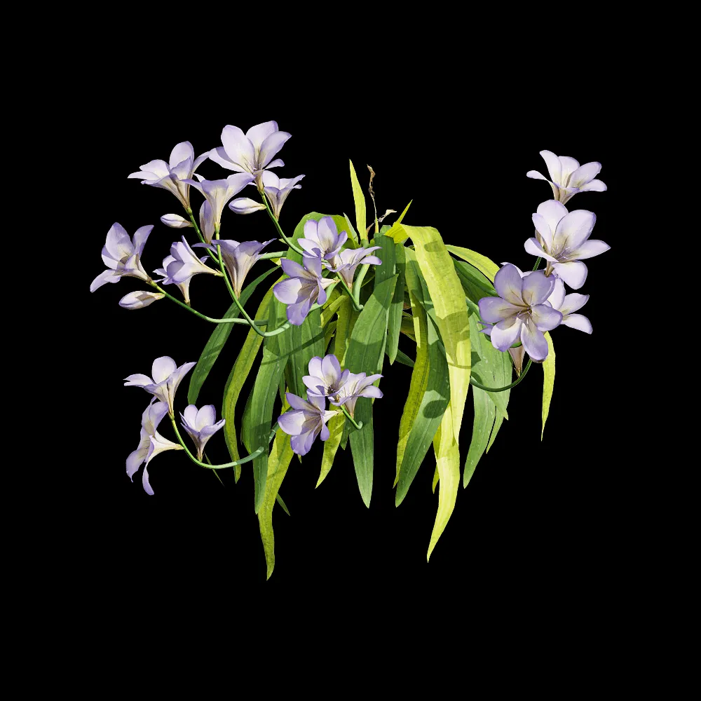 decoration – Freesia hybrida 6 3ds Max