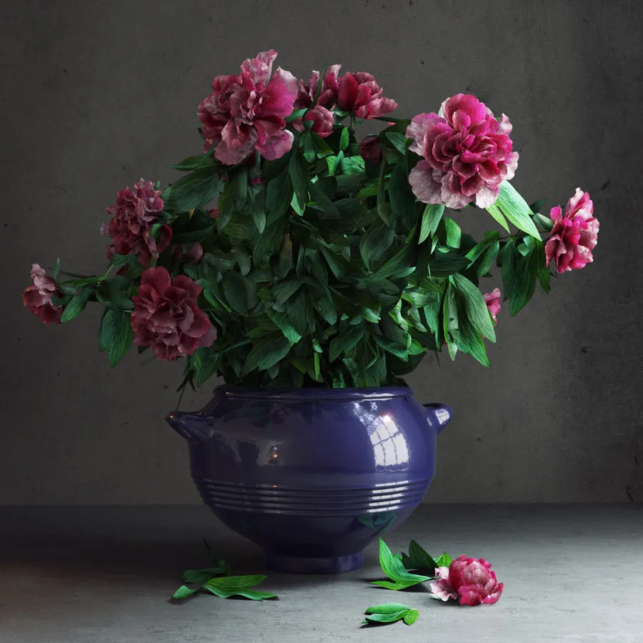 decoration – Garden’s Peonies 007 3ds Max