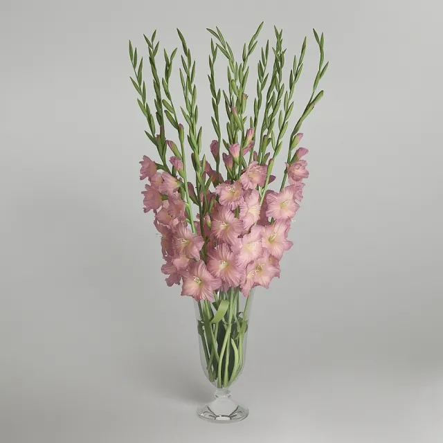 decoration – Gladiolus 3ds Max