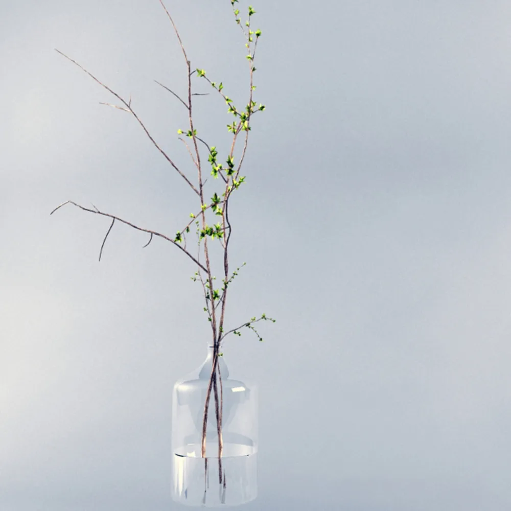 decoration – Glass jar with plant 3ds Max