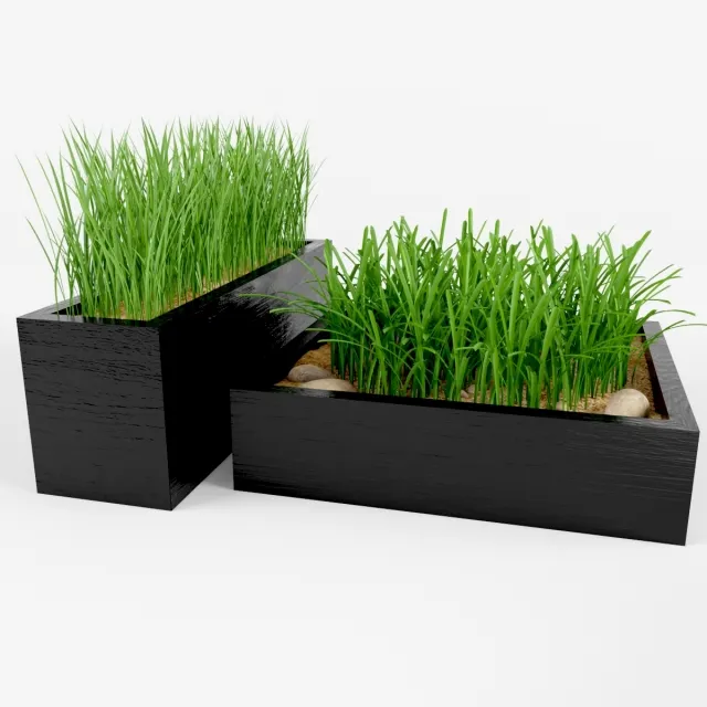 decoration – Grass 3ds Max