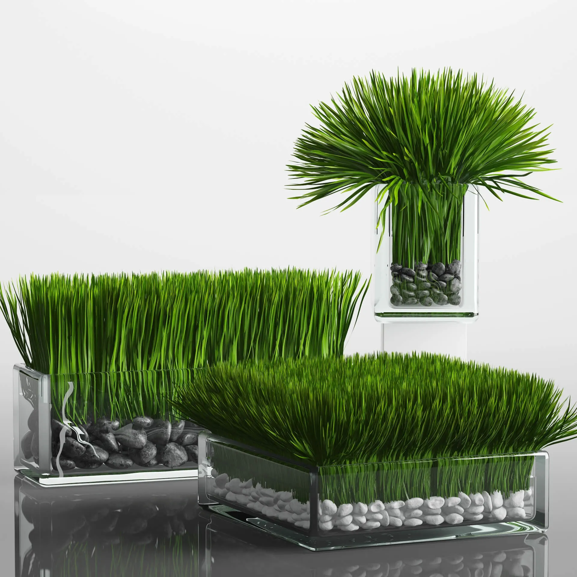 decoration – Grass Arrangement 3ds Max