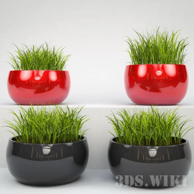 decoration – Grass in beautiful pots 3ds Max