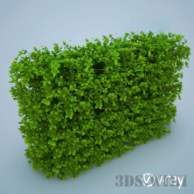 decoration – Green Grass – Lawn Bush 3ds Max
