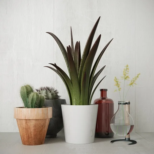 decoration – greens_set 3ds Max