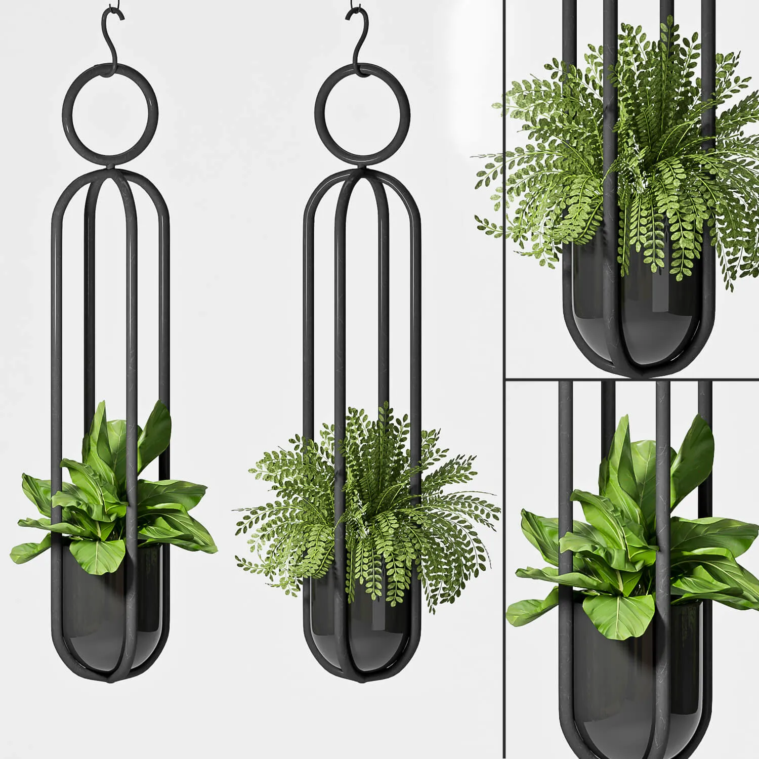 decoration – Hanging plants 02 3ds Max